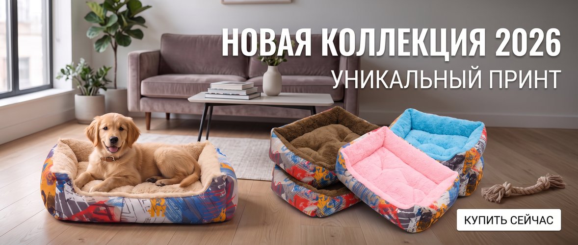 Новая коллекция 2026 — уникальный принт